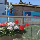 조명섭 팬카페가 함께하는,행복 급식소 오픈날🎉🎊 이미지