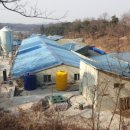 당목리목장 네이버블로그