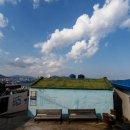 해돋이마을 이미지