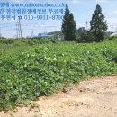 사랑리주유소 이미지