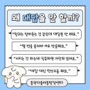 동작다솜아동발달센터