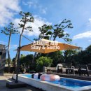 피터팬하우스 | 제주 피터팬하우스: 매일이 설레는 제주 살이, 당신만의 한달살기를 만나보세요