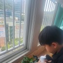 5월지구살리기(참나리반 정이든) 이미지