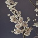 씨유마산합포도서관점 | 국가직 시험이 점점 다가왔지만 회피하려했던 3월 일상🌸