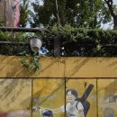 대구 포크페스티벌 이미지