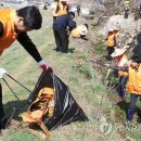 주식회사 석컴퍼니 - 제주시 | 주식회사 석컴퍼니