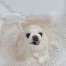 개운한날 이미지