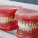 타코마신호드림치과의원 이미지