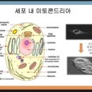 뉴트리젠 이미지