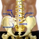 해달요가
