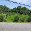 새벽농장 이미지