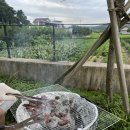 펜션 다솔강 D | 경주 다솔강 펜션 후기/경주가성비펜션,경주가족펜션,경주수영장펜션추천