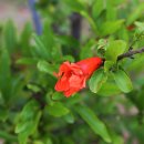 더바다앤 이미지