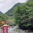 항골한우