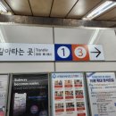 3층 온누리약국 | 비맥스 사기 좋은 종로3가역 종로성지약국 (비맥스 메타, 후시딘 가격)
