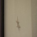 뉴월드타운 이미지