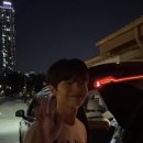 왈왈이 - 원주시 | 왈왈이