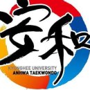 국가대표석사태권도장 이미지