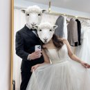 참사랑홈파티스스튜디오 | 대구 웨딩스튜디오 헤이즐리스튜디오&amp;그가 사랑하는 순간 내돈내산 후기