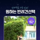 독포유 이미지