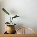 와이크린워시 | 체험단모집 | 삼성신혼가전, 100인의 삼성로망가전 체험단 모집해요 ♥