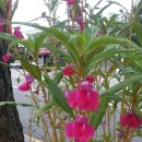 남산1길 13, (교현동) 이미지