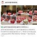 중앙대로 | 동성로 케이크 맛집 슬로우터틀 중앙대로점 홀케이크 할인 방법 딸기케이크 생딸기 초코케이크 포장 후기