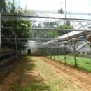 본당리마을회관 이미지