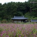 소계서당(邵溪書堂) 티스토리