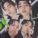 도그 아지트 | 알로 알로
