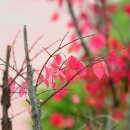 지경하우스 이미지