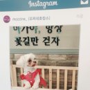 모찌네호캉스 이미지