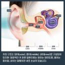 다비치히어링보청기 부산사직삼거리점 이미지