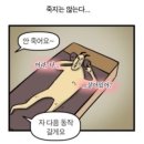 기구필라테스202