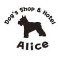 도기스쿨(doggy school) 이미지