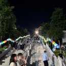 초읍동-01 | 부산 삼광사 연등축제 후기 (야경 감성 + 주차 꿀팁까지)