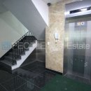 토미하우스 이미지