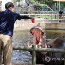 동물치유쉼터 이미지