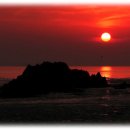 처음보다 더 이미지