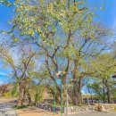 길안면보건지소 이미지