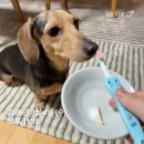 아루실업 | 고대표님 2026년 3월 일상