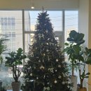 수도의원 | 사려니의원 편평사마귀 제거 후기(개별 대기실+친절+가격 참고)