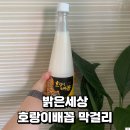 호랑이배꼽마을 | 호랑이배꼽 생막걸리 가격, 맛 후기