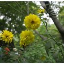 억수농장 이미지