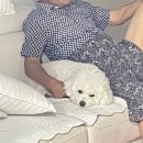 깨움피티 | 연휴 추억 회상하는 척하면서 먹은 거랑 강쥐 자랑하기...