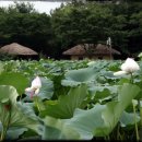 영광ic주유소 이미지