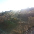 킹덤공인중개사사무소 이미지