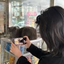 완도CAR#