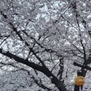 모꼬지 관광펜션 이미지