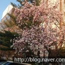 국민은행(유니온빌딩)옆 이미지